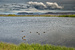 019 Mývatn.jpg